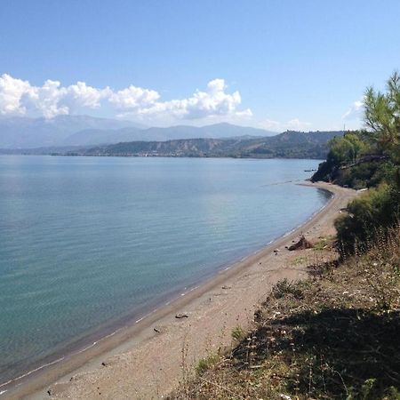 Camping Golden Sunset Alissos المظهر الخارجي الصورة