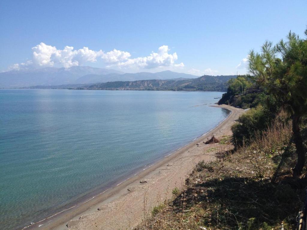 Camping Golden Sunset Alissos المظهر الخارجي الصورة